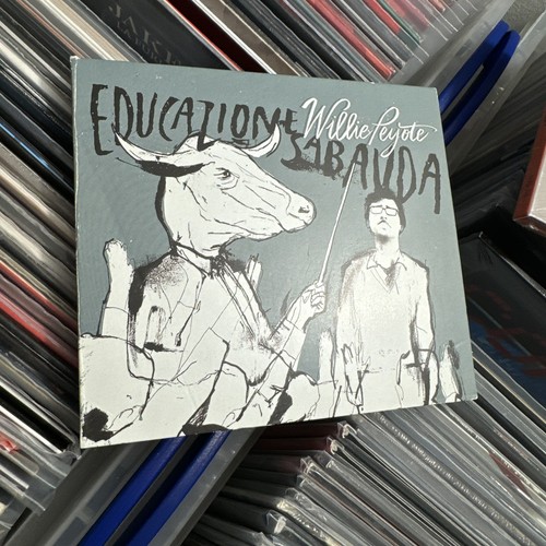 Willie peyote educazione - willie,