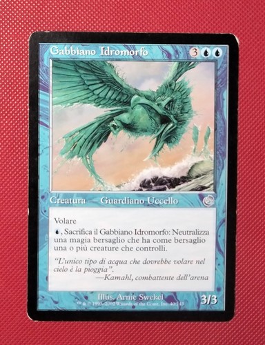 Gabbiano idromorfo tormento - idromorfo,