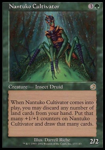 Cultore nantuko - -,